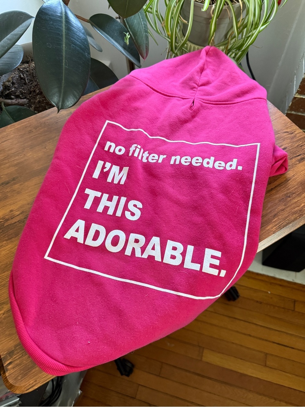 Pink Pet Hoodie with White 'I'm This Adorable' Graphic size L